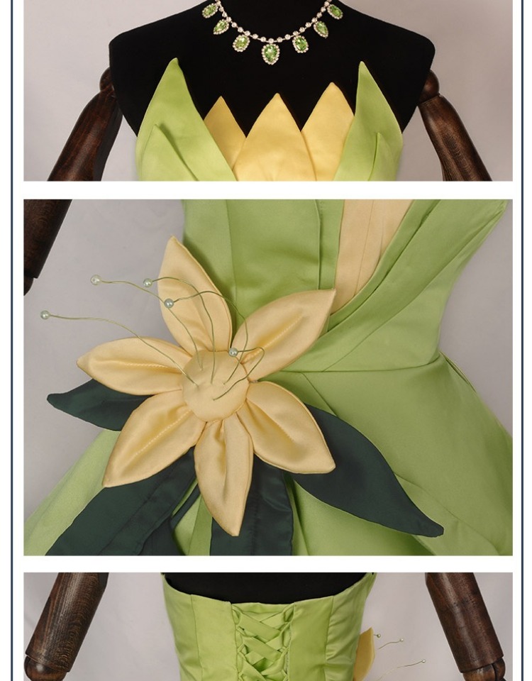 Prinses Tiana Jurk Cosplay Kos - Women Knight Accessories recensie en prijs