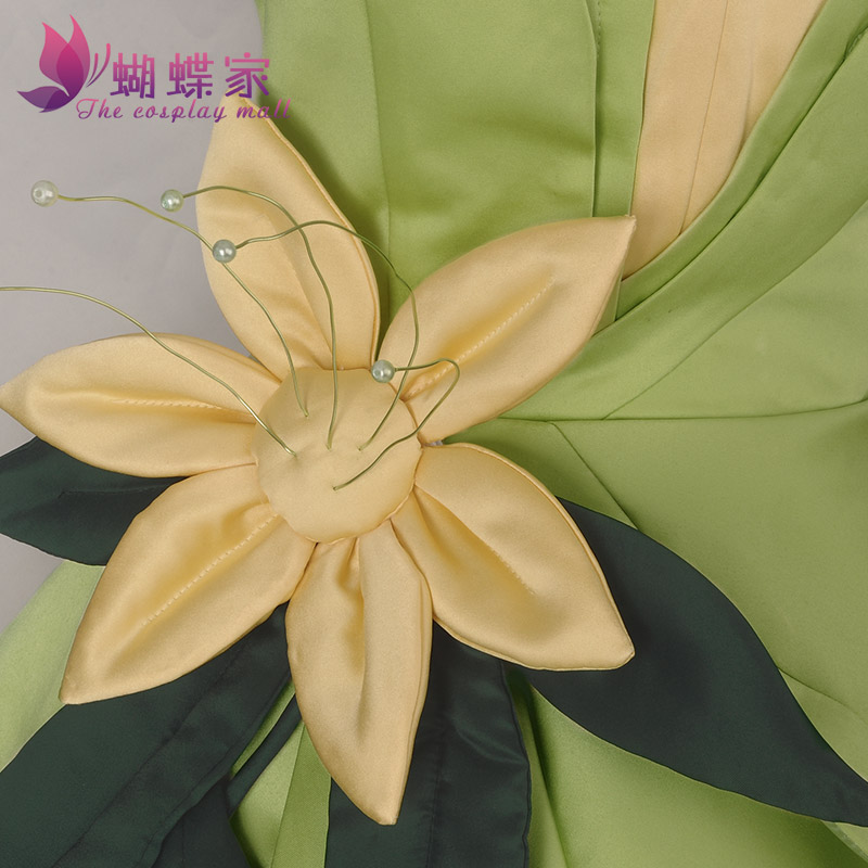 Prinses Tiana Jurk Cosplay Kos - Women Knight Accessories recensie en prijs